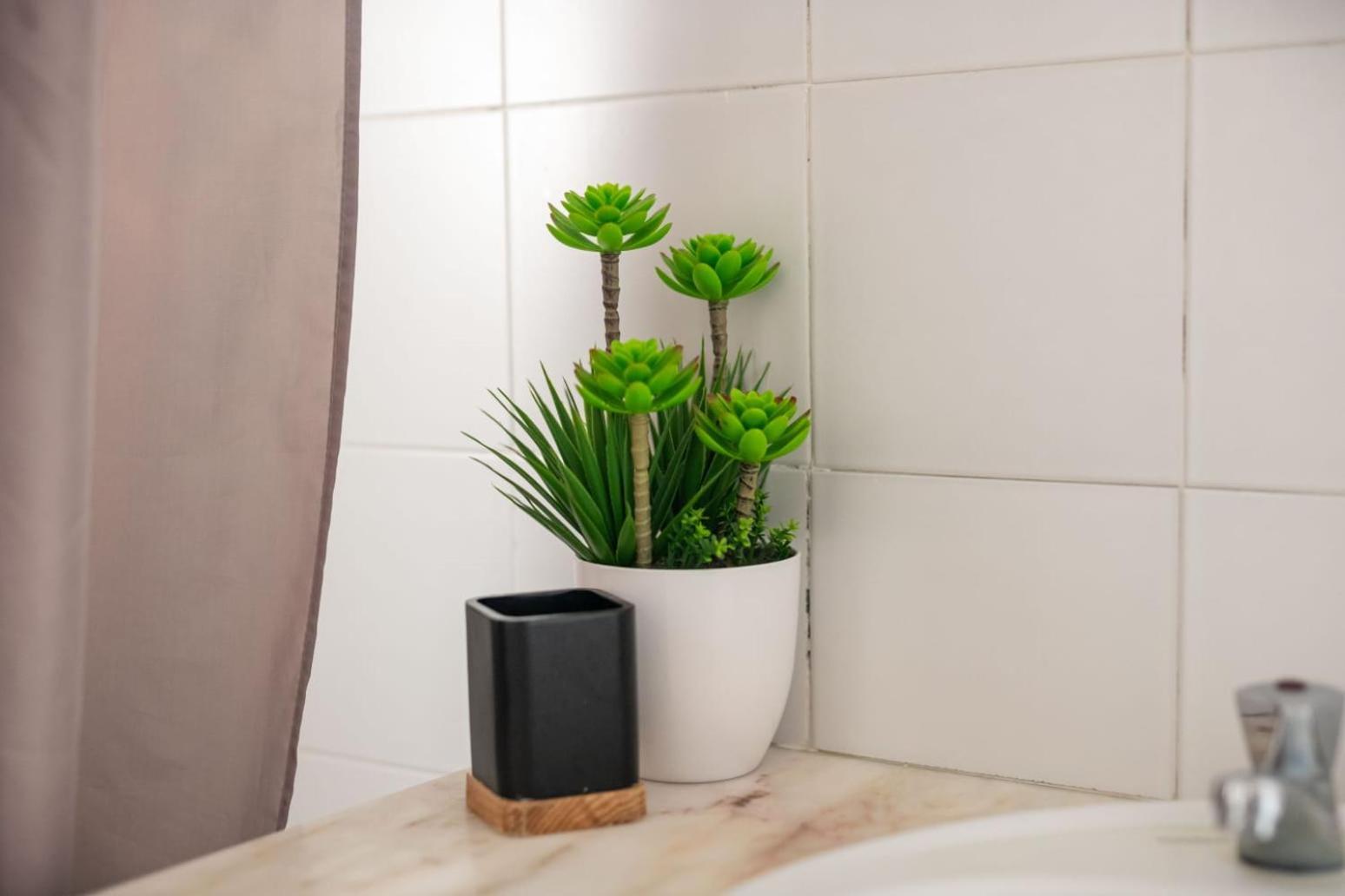 Family Friendly Azorean Apartment Ponta Delgada Zewnętrze zdjęcie
